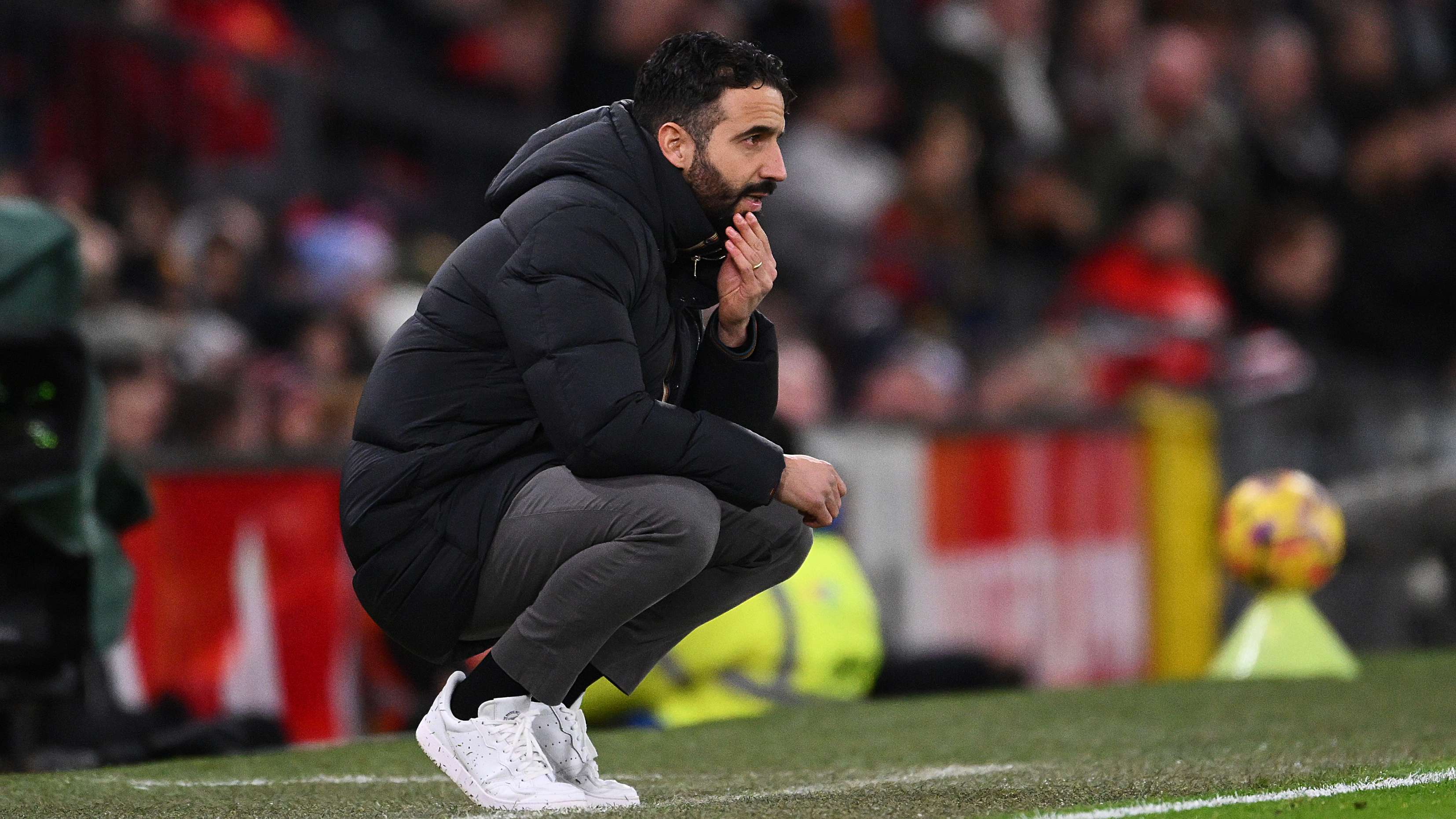 体市场的评 体市场的评